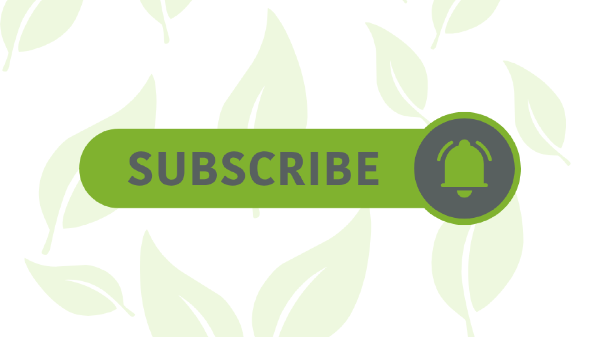 white background with light green leaves with a subscribe button
